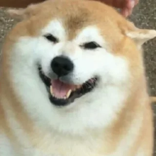 Стикер my_SticPack - 9