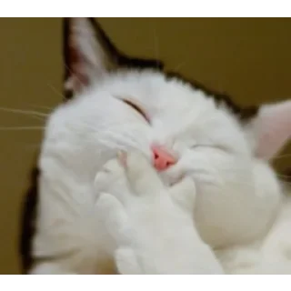 Стикер my_SticPack - 11