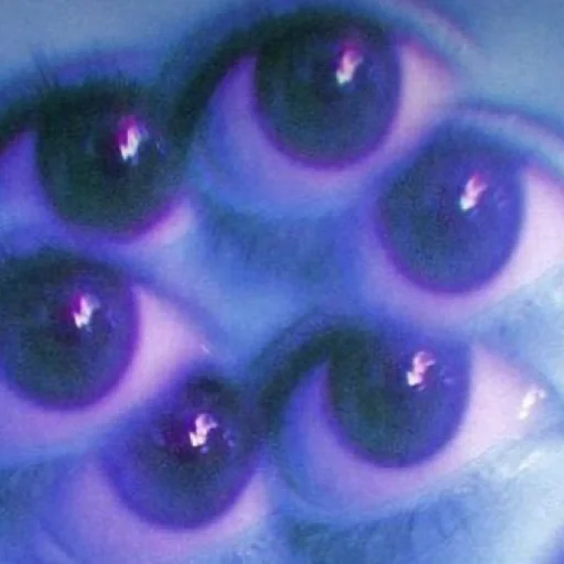 closeup purple colorfulness