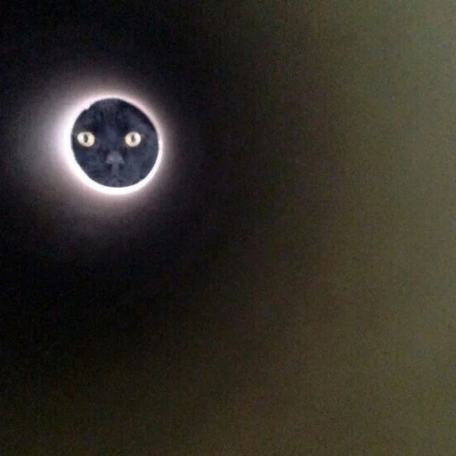 moon astronomical object circle