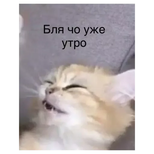 Стикер Alo213 - 1