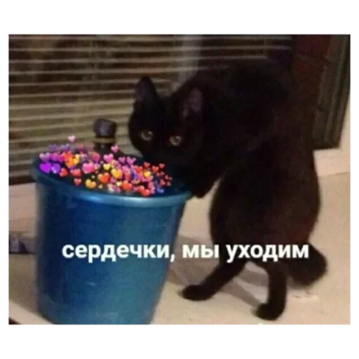 Стикер Alo213 - 1