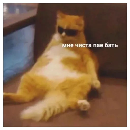 Стикер Alo213 - 1