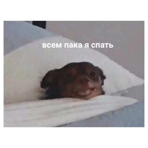 Стикер Alo213 - 1