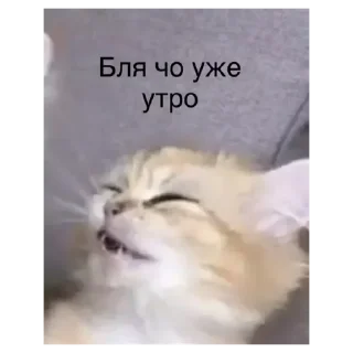 Sticker Ало 2 - 4