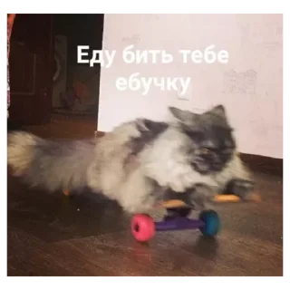 Sticker Ало 2 - 1