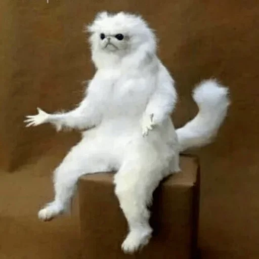 Стикер Alpha by @fStikBot - 0