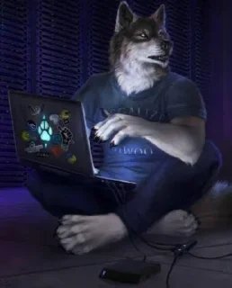 Sticker @kossherpacks دختران الفای پاییز - 11