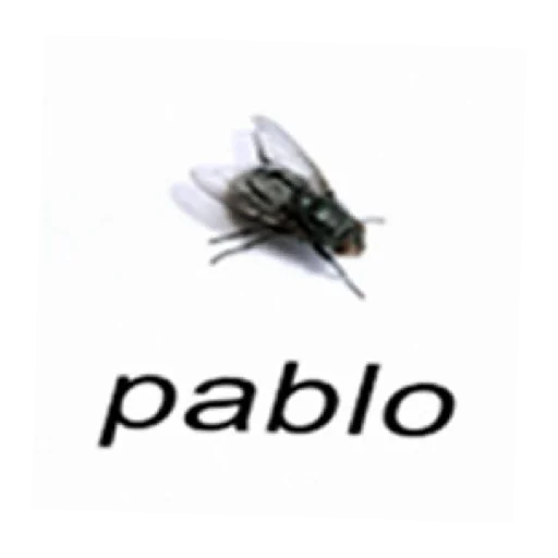 Sticker Alumdkmo - 1