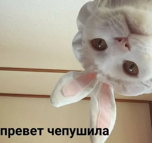 Стикер Alvy Singer - 8