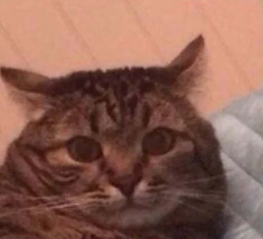 Стикер Alvy Singer - 7