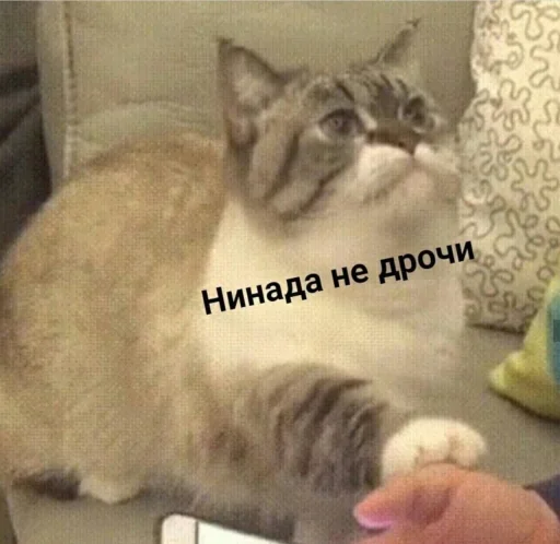 Стикер Alvy Singer - 1