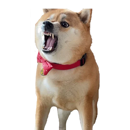 Sticker AlyonaXblX - 1