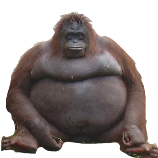 Sticker AlyonaXblX - 1