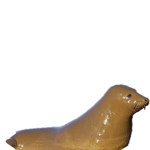 Sticker AlyonaXblX - 1