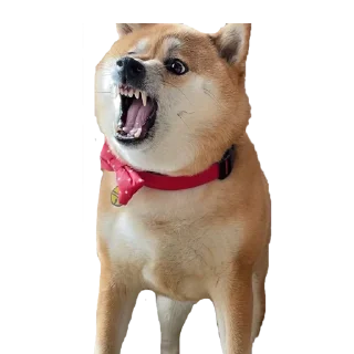 Sticker Алёна - 11