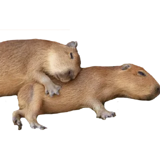 Sticker Алёна - 6