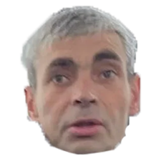 Sticker Алёна - 4