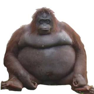 Sticker Алёна - 10