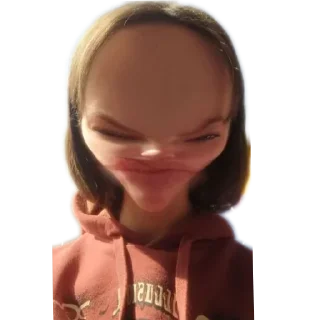 Sticker Еноты😶‍🌫️ - 6