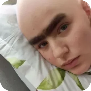 Sticker Еноты😶‍🌫️ - 8