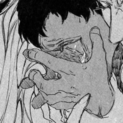 эскиз иллюстрация линейное искусство