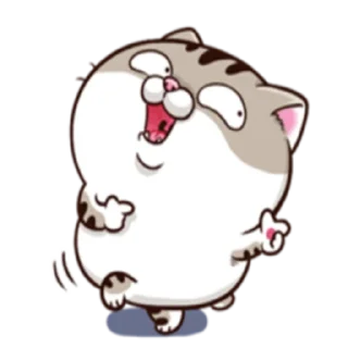 Sticker Ami fat cat - 3