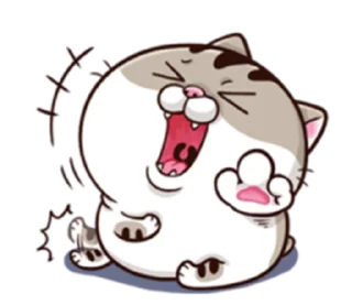 Sticker Ami fat cat - 6