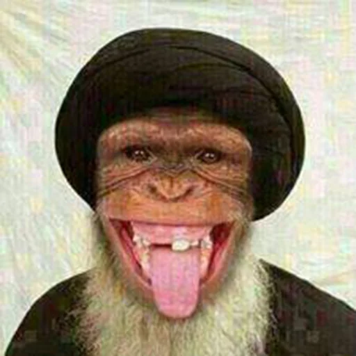 челюсть человеческая борода усы