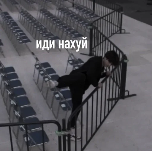 обувь млекопитающее одежда