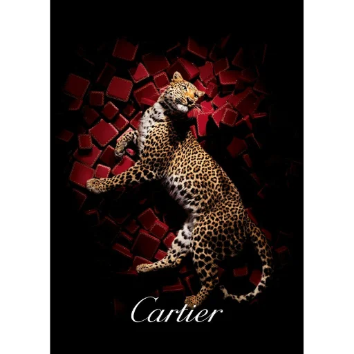 Sticker Amourskaya - 1