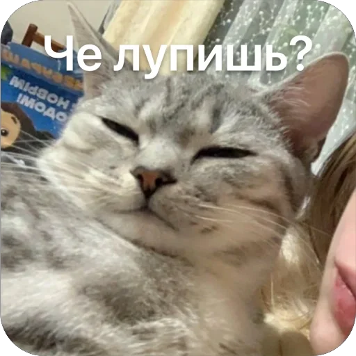 Амур - 
