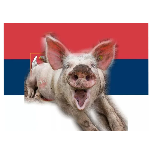 Sticker AnRZwGA_by_sticbot - 1