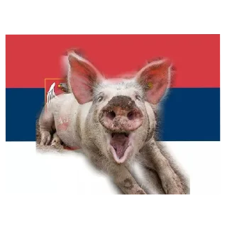 Sticker СВОбодній ургаенєр⬜⚠️⬜ •@sticbot - 9