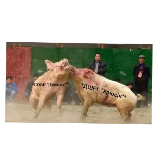 Sticker СВОбодній ургаенєр⬜⚠️⬜ •@sticbot - 10