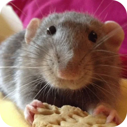 Больше стиков тут: @stikery4 - 