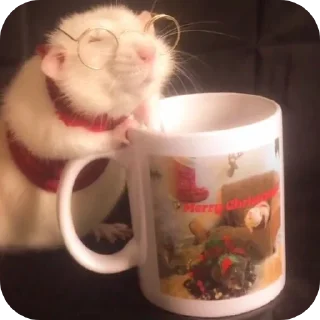 Sticker Больше стиков тут: @stikery4 - 11