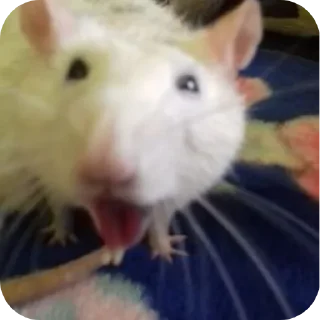 Sticker Больше стиков тут: @stikery4 - 10