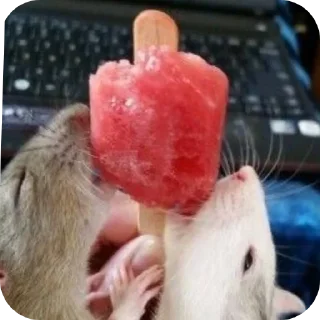 Sticker Больше стиков тут: @stikery4 - 7