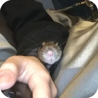 Sticker Больше стиков тут: @stikery4 - 0