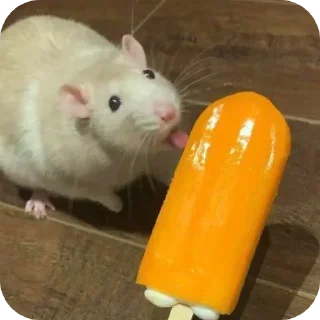 Sticker Больше стиков тут: @stikery4 - 1