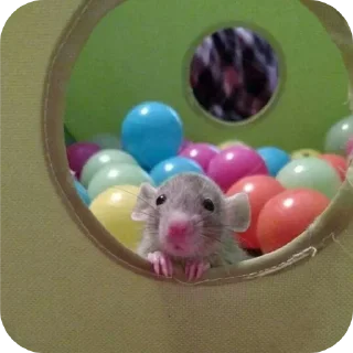 Sticker Больше стиков тут: @stikery4 - 8