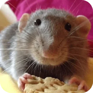 Sticker Больше стиков тут: @stikery4 - 9