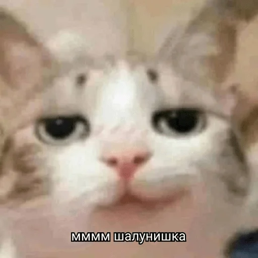 цыганка Dі - 