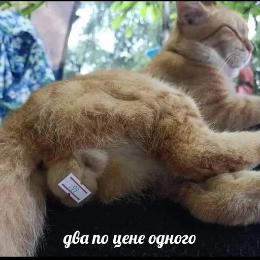 Стикер An_onim - 1