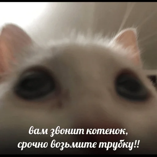 Стикер An_onim - 1