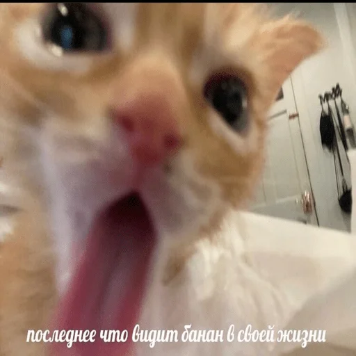 Стикер An_onim - 1