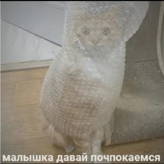 Sticker цыганка Dі - 4