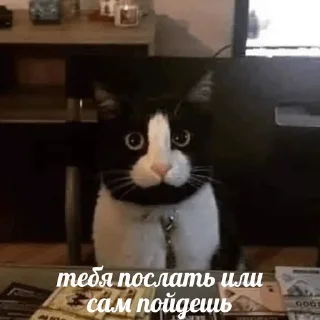 Sticker цыганка Dі - 2