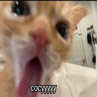 Sticker цыганка Dі - 7